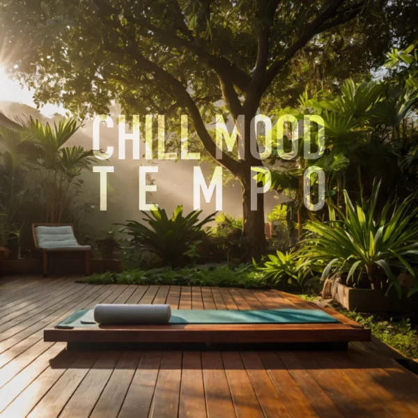 Chill Mood Tempo album